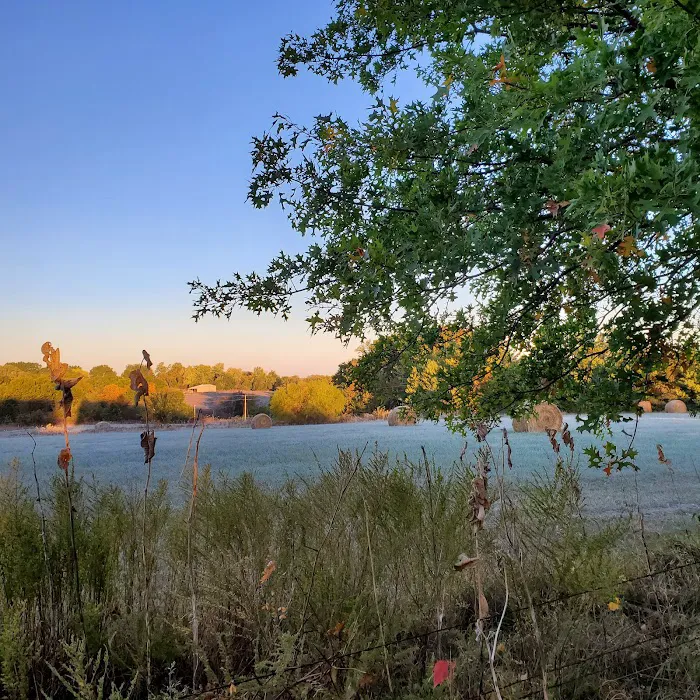 Soggy Bottom Campground 7