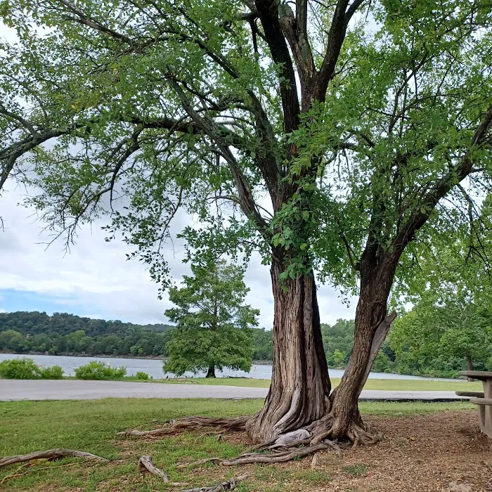 Cricket Creek Park 4