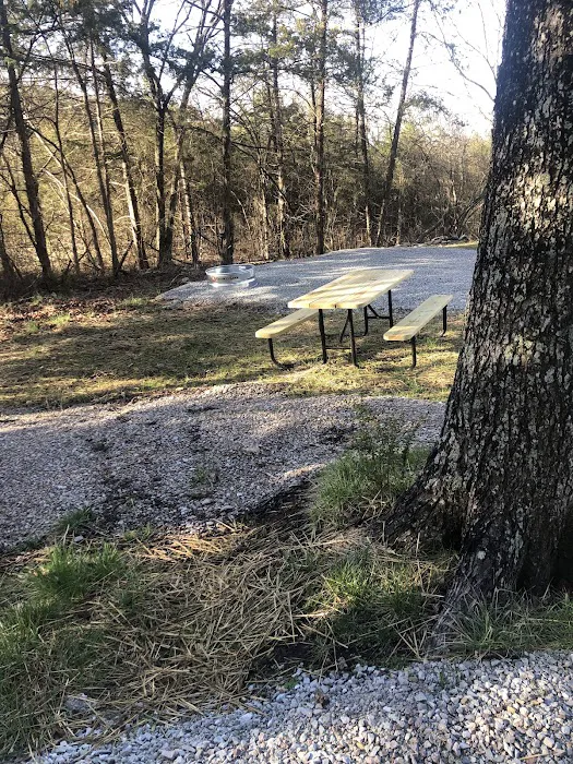 Oasis RV park 8