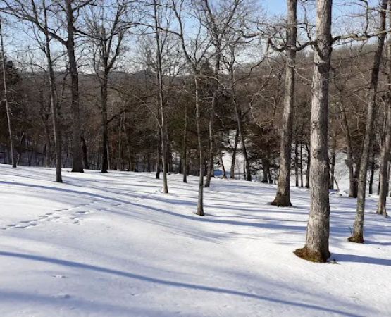 Paradise Cove Camping Resort
