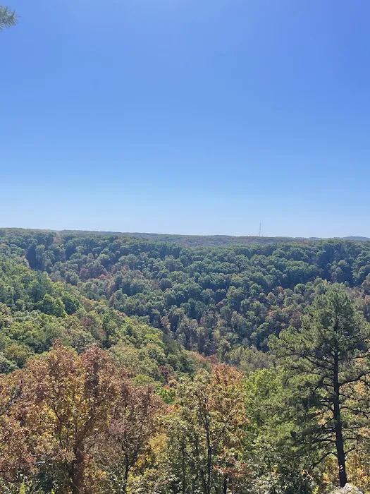 Beaver, Arkansas 0