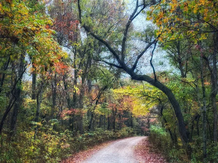 Sugar Camp National Forest Scenic Byway 0