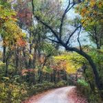 Sugar Camp National Forest Scenic Byway