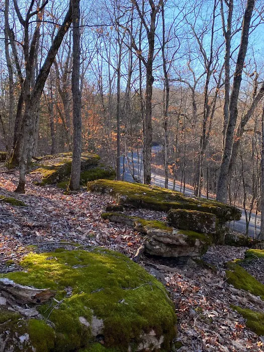 Sugar Camp National Forest Scenic Byway 2
