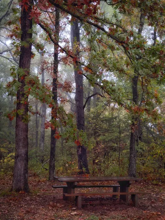 Sugar Camp National Forest Scenic Byway 5