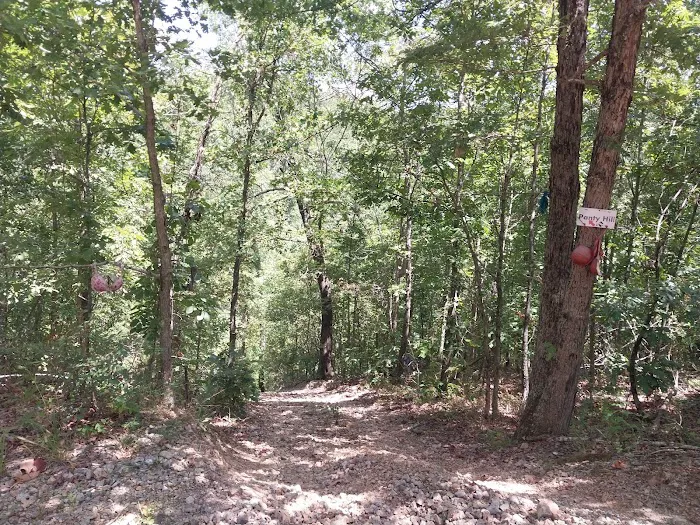 Eureka Springs Adventure Park 2
