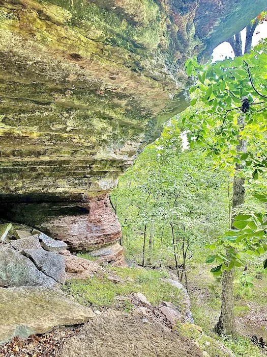 Ramble Ridge Camp 1