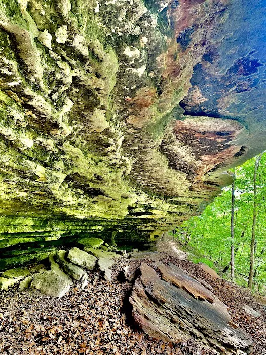 Ramble Ridge Camp 2