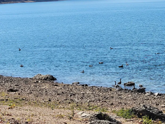 Dam Site Lake Campground 6
