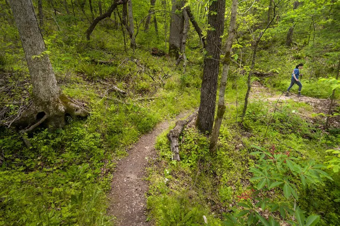 Tyler Bend Campground 3