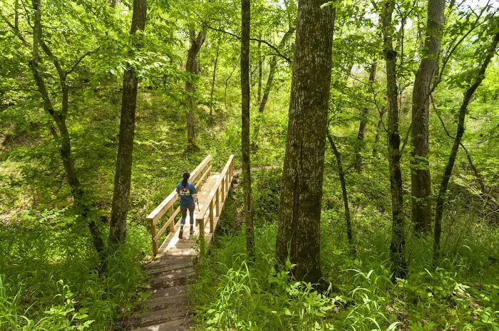 Tyler Bend Campground 8