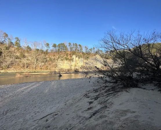 Shine Eye Campground