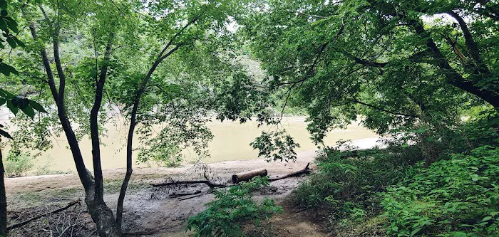 Shine Eye Campground 4