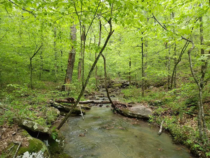 Haw Creek Falls Recreation Area 7