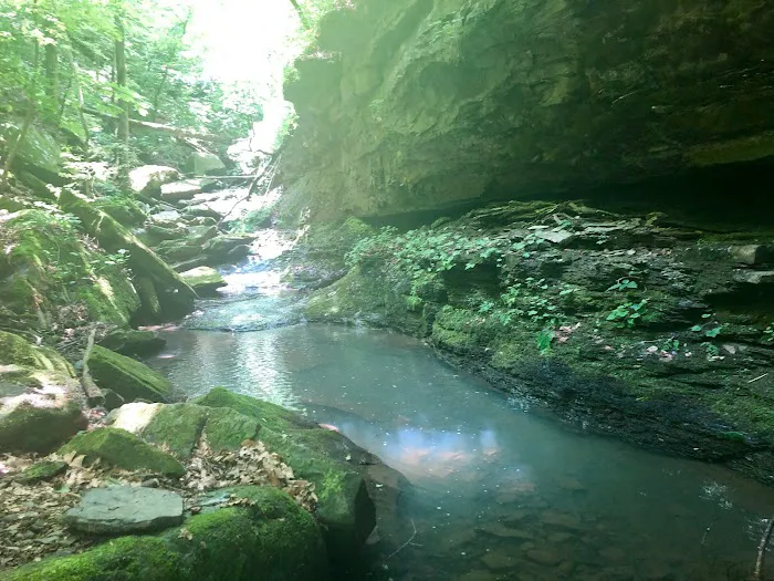 Haw Creek Falls Recreation Area 8