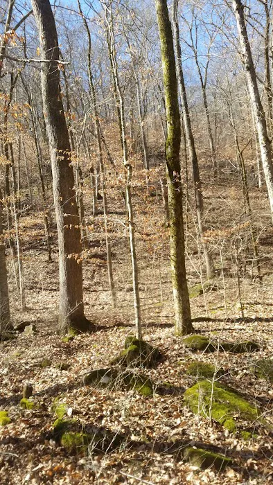 Haw Creek Falls Recreation Area 9