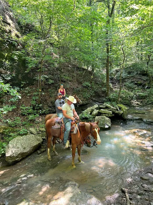 Cowboy Up Trails 1