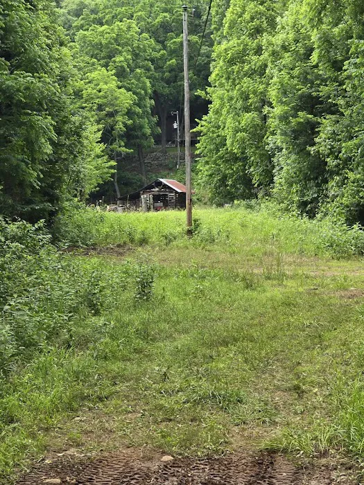 Cowboy Up Trails 7