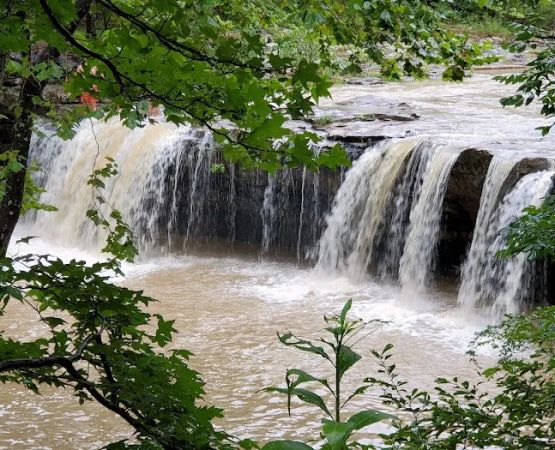 Falling Water Horse Camp