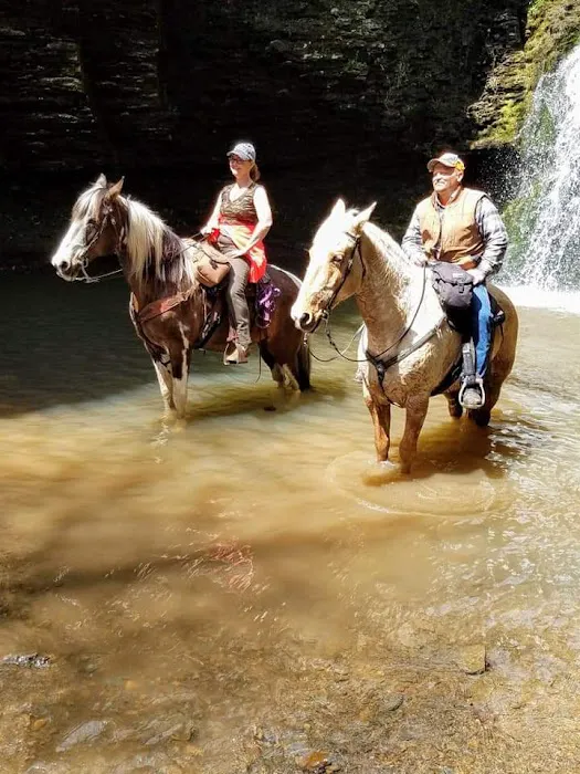 Falling Water Horse Camp 5