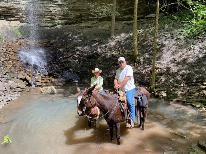 Falling Water Horse Camp 3