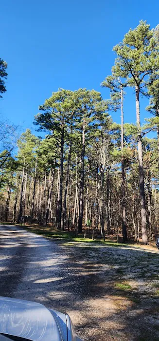 Sam's Throne Campground 2