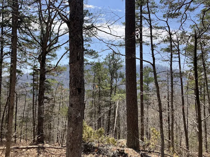 Richland Creek Recreation Area 5