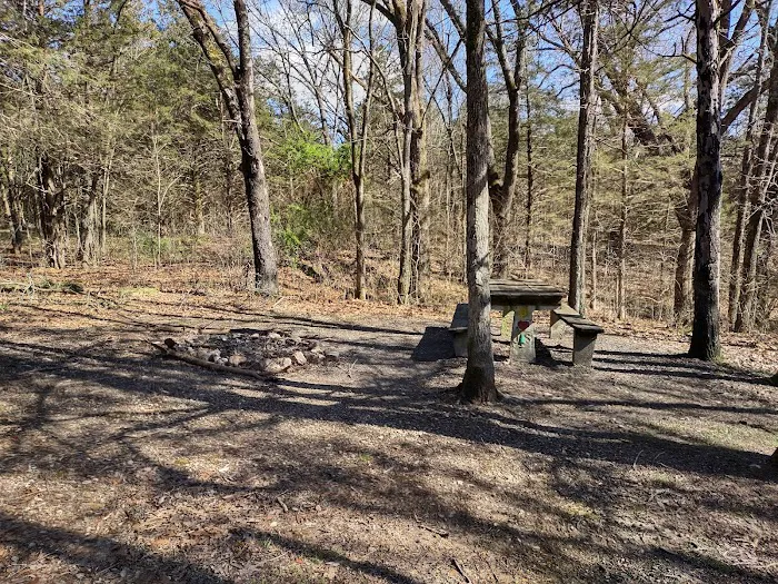 Overhang campsite 2