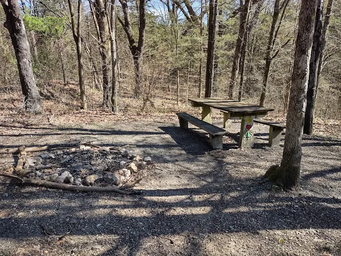 Overhang campsite 4