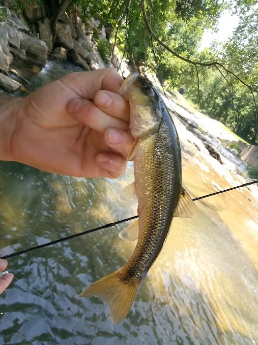 Mill Creek Camp 3