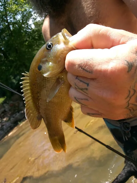Mill Creek Camp 4