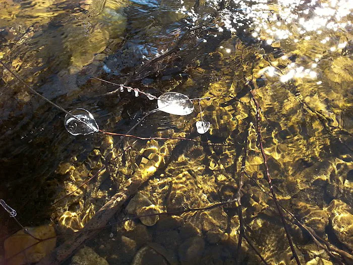 Erbie Campground 6