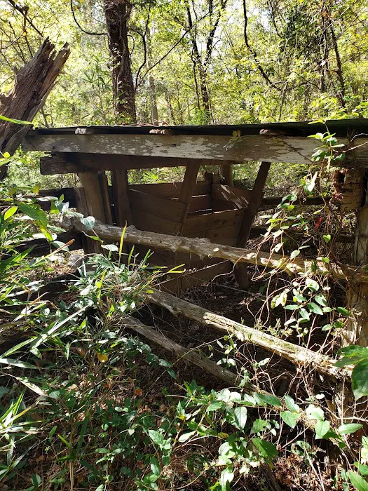 Erbie Campground 7