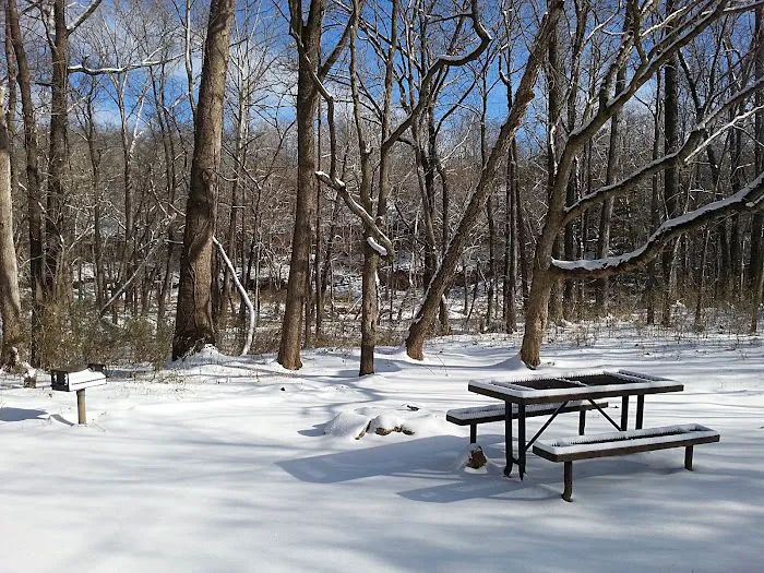 Erbie Campground 9
