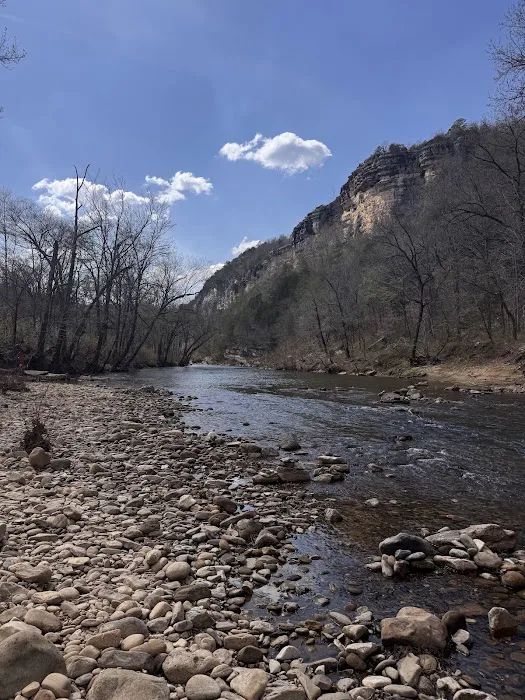 Kyles Landing Campground 3