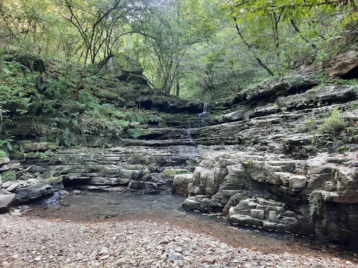 Kyles Landing Campground 8