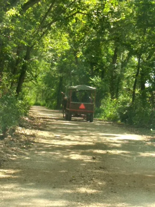 Ponderosa Trails 2