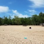 Ables Sugar Island Camp