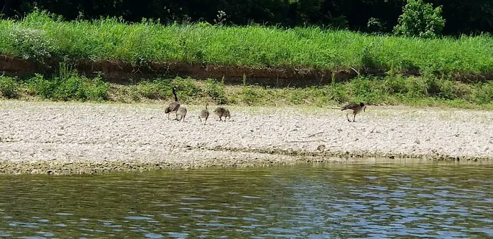Hog Heaven Canoe & Camp 1