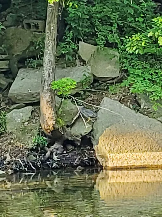 Creekside Campground 1 0