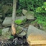 Creekside Campground 1