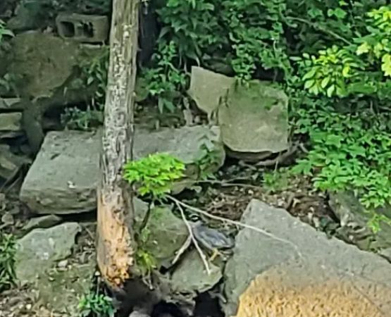 Creekside Campground 1