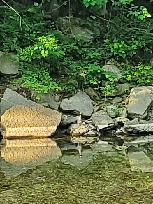 Creekside Campground 1 6