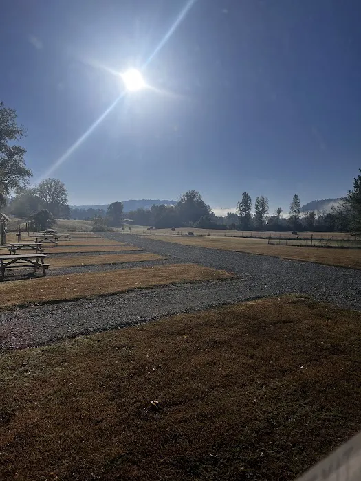 Misty Mornings Arkansas Cabins and RV Sites 6