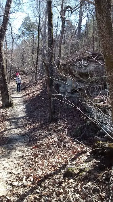 Matney Campground 5