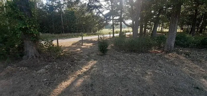Lucky 7 Ranch 3