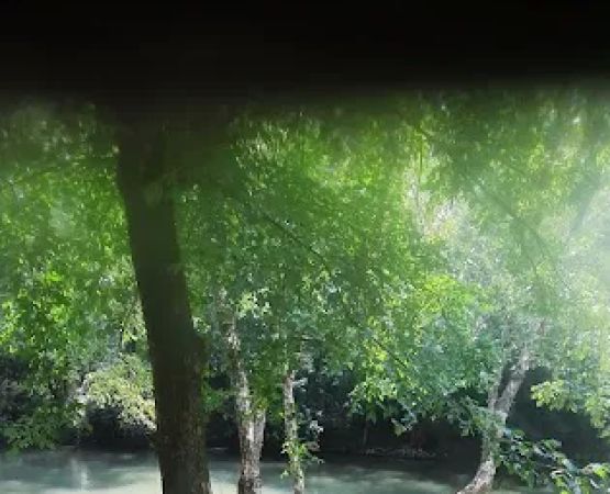 Terrapin Creek lot