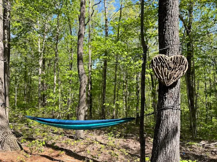 The Haven Bin Glamping & Campground 7