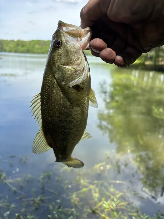 Dekalb County Public Lake 3