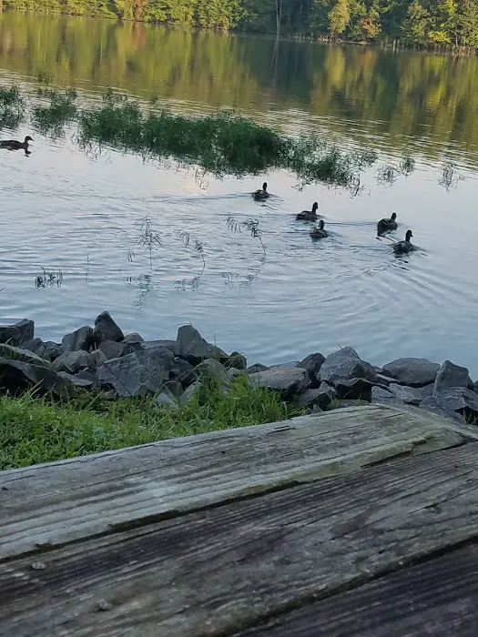 Dekalb County Public Lake 5